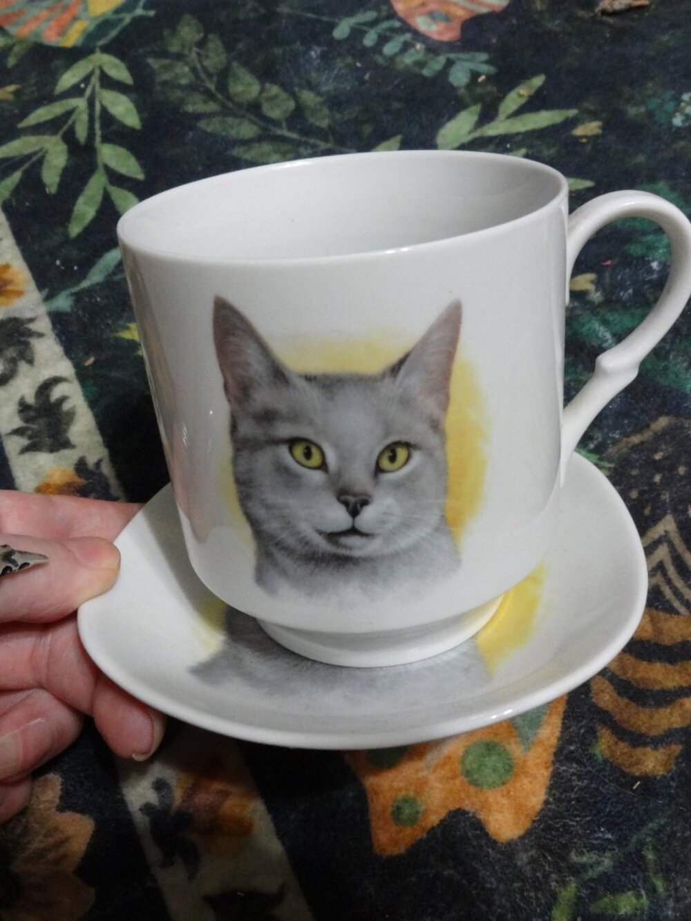 germany porcelain grey yellow cat cup saucer bavaria
